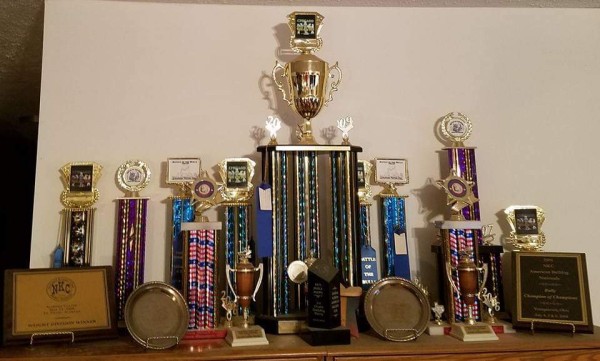 dog show trophies